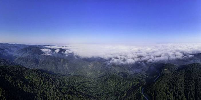 Çam Dağı'nda sis güzelliği