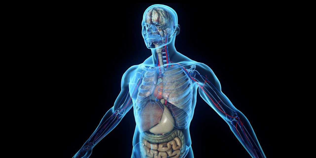 Oruç ile vücut sistemi baştan aşağı temizleniyor