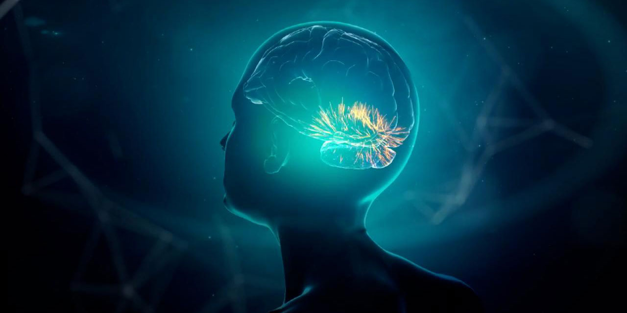 'Zihin kontrol mıknatıslarıyla' iştahı ve sosyal davranışı değiştirdiler