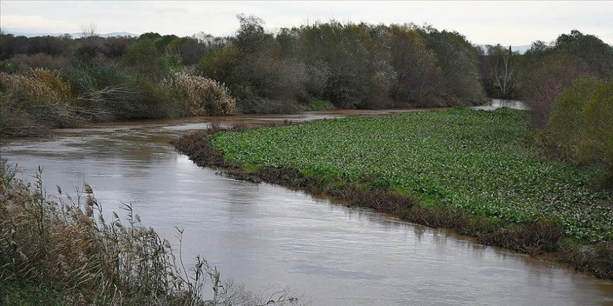 Kuraklıktan etkilenen Gediz Nehri'nin debisi yağışlarla yükseldi