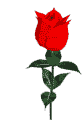 7891yxuvtqv4jq.gif