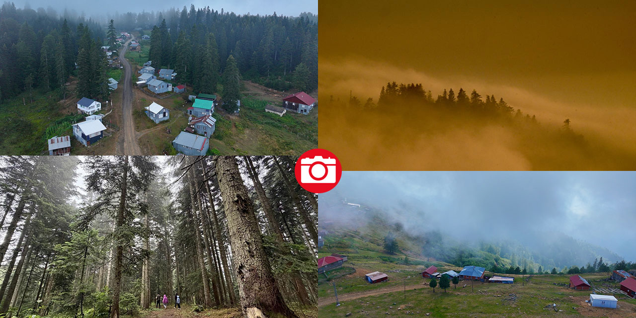 Düzce'nin yaylaları