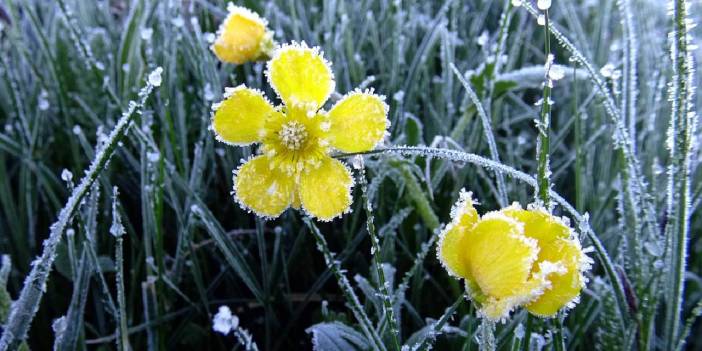 Kars'ta kar yağışı ve soğuk hava etkili oldu