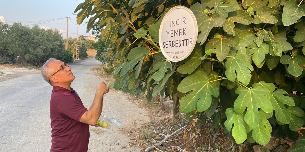 Bir Fatiha karşılığında 'incir yemek serbesttir'