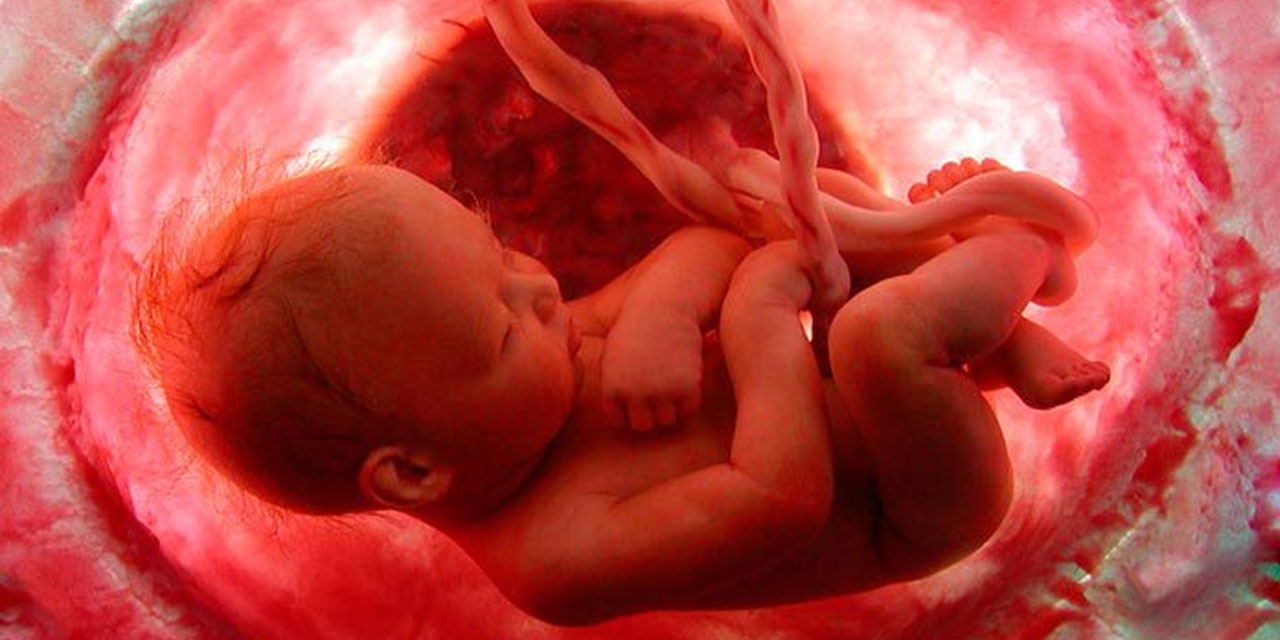 Bediüzzaman: İnsanın, mu'cizatlı hilkatine dikkat etmeyerek iki başlı veya üç ayaklı bir insan görse