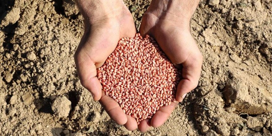 Duru Bulgur'dan, Rekabet Kurulu'nun para cezası açıklaması