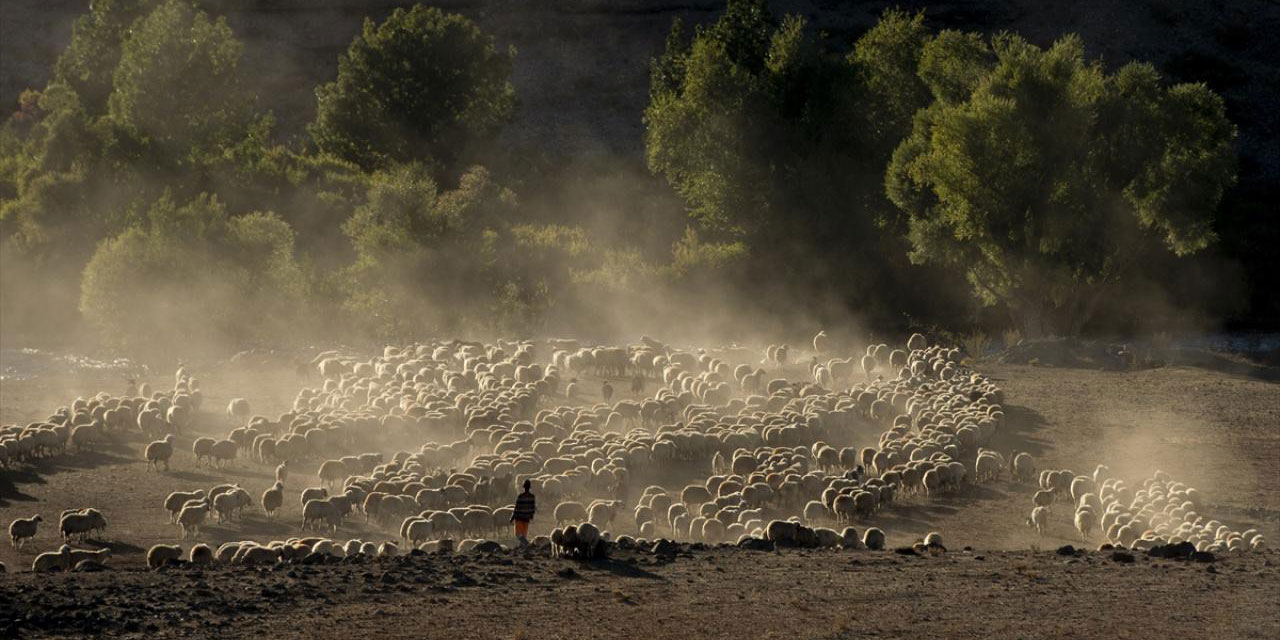Göçerlerin Munzur ve Mercan Dağları'ndan köylerine zorlu dönüşü başladı