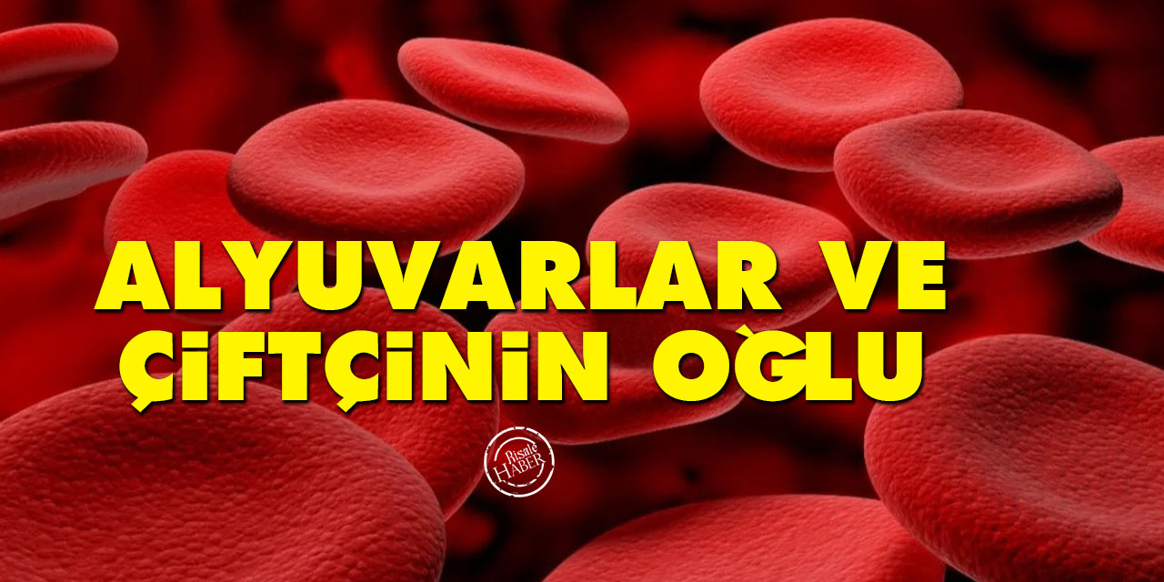 Alyuvarlar ve çiftçinin oğlu