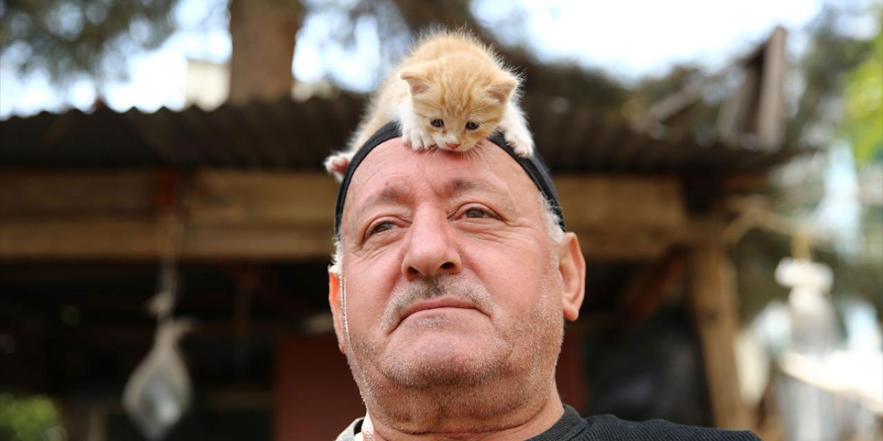 Kedi sevgisi milyonlarca liralık kazanç teklifine 'dur' dedirtti