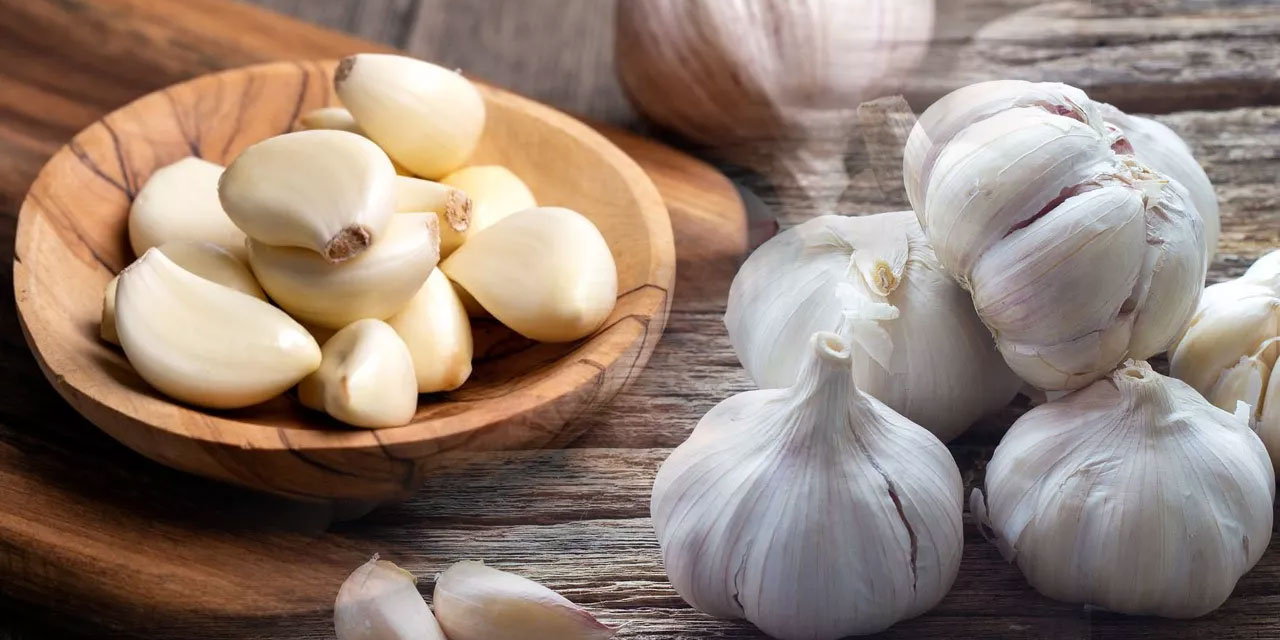 Kainat eczanesinden sarımsak antibiyotikten daha etkili