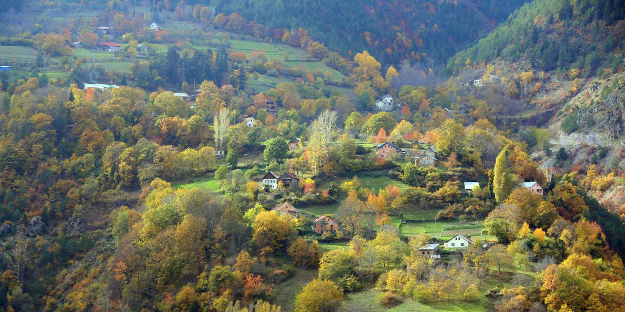 'Örümcek Ormanları'ndan sonbahar manzaraları