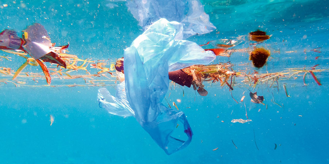 Kıyılardan 180 bin ton atık toplandı