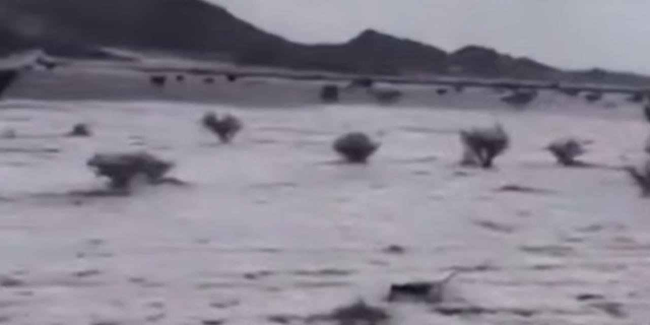 Suudi Arabistan’da çöller dolu yağışıyla beyaza büründü
