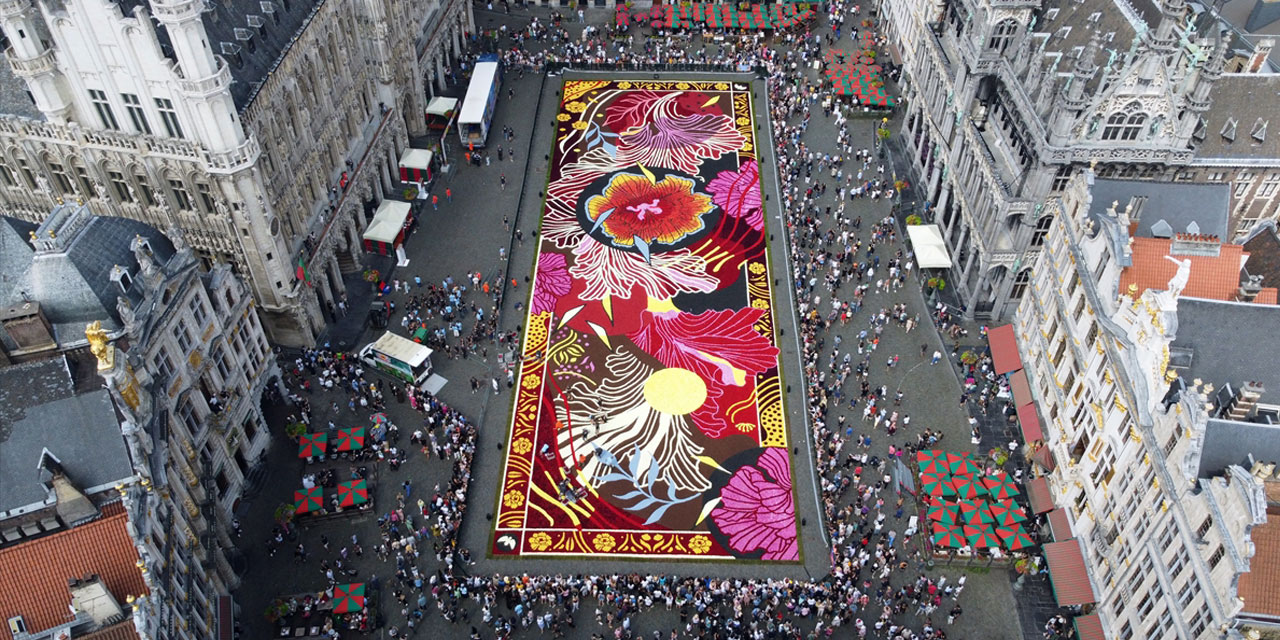 Brüksel'in tarihi meydanına 'çiçekten halı' döşendi