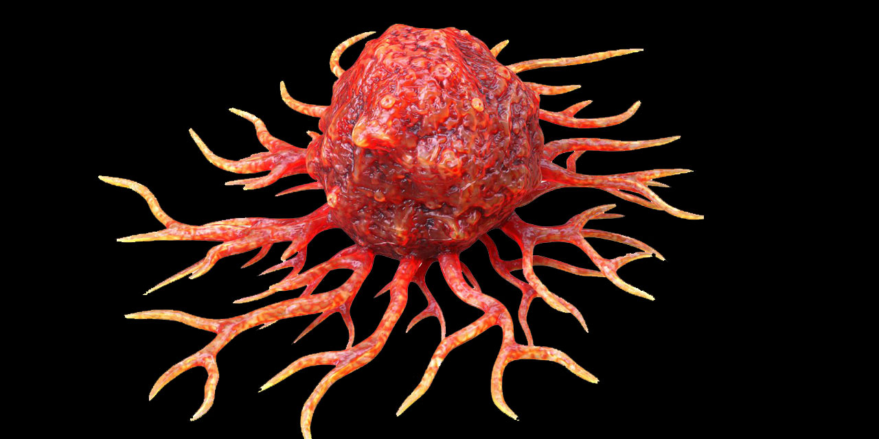 Mübarek Beldeye Yerleşen Habis Ur: israil!