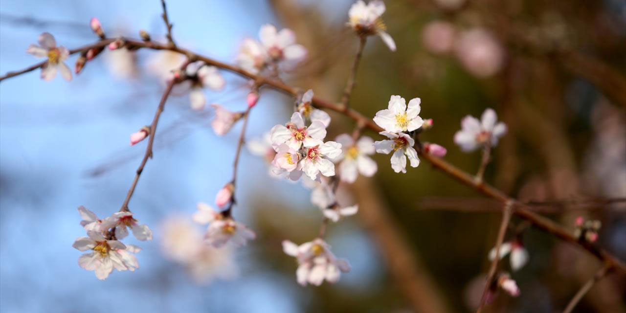 İlk cemre havaya düştü
