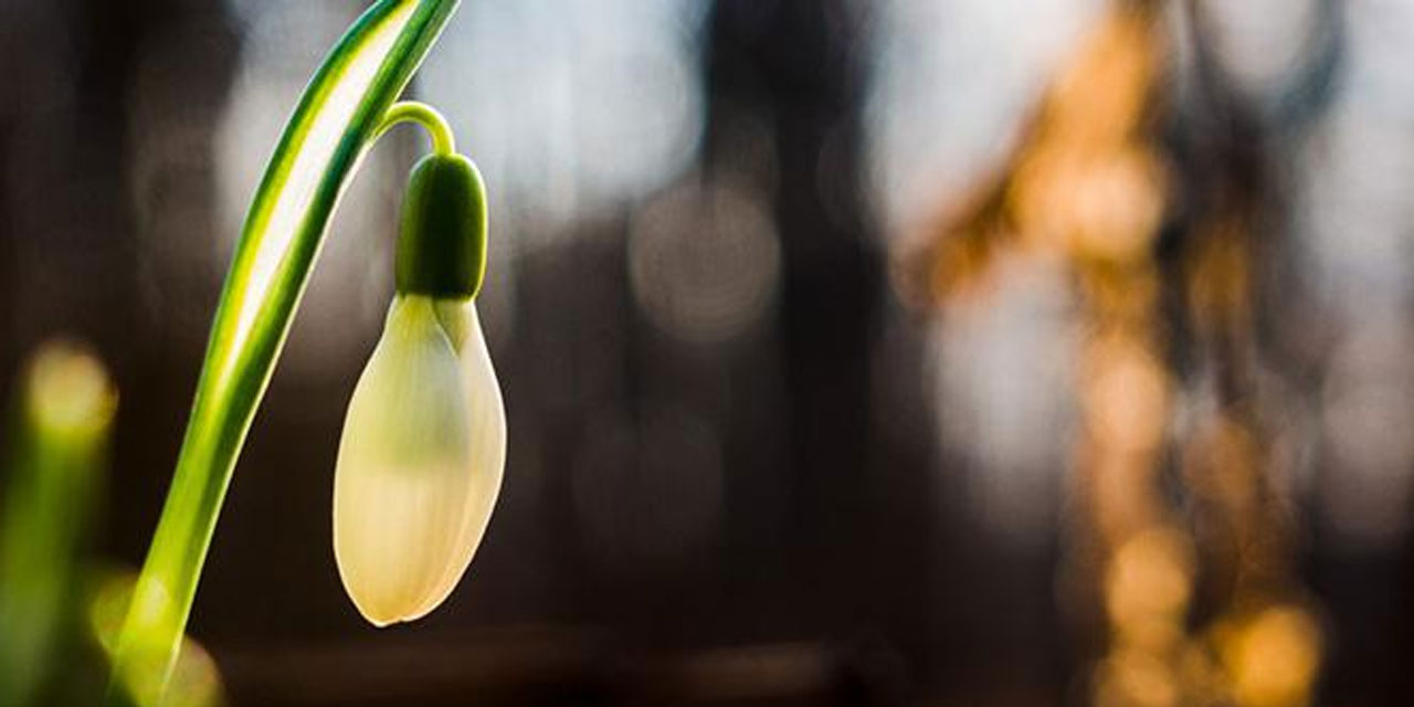 Bediüzzaman: Büyüklüğün mikyası tevazudur, küçüklüğün mizanı tekebbürdür