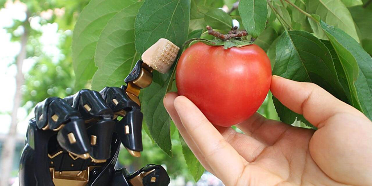 İnsan dokunuşunu taklit eden üç boyutlu deri icat edildi