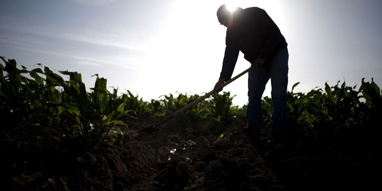Bediüzzaman: Bu sırdandır ki, rahat zahmettir, zahmet rahattır