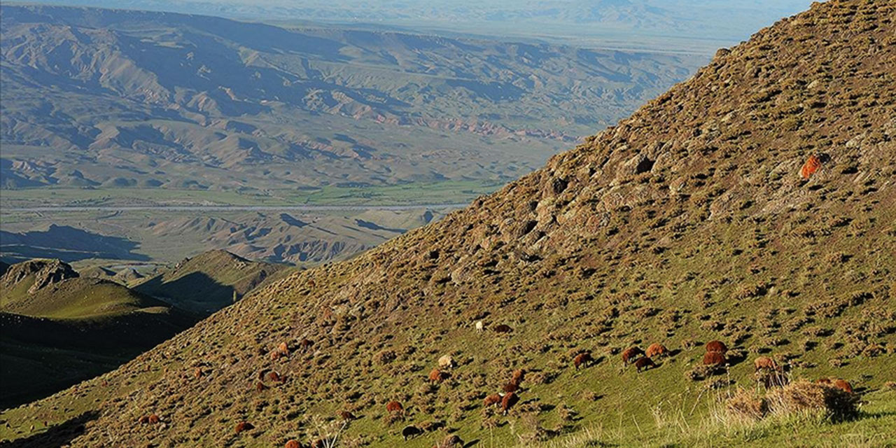 Türkiye'de her yıl 642 milyon ton toprak erozyona uğruyor