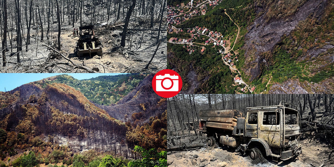 Yangın sonrası acı tablo: 'Yeşil' ve 'siyah' yan yana