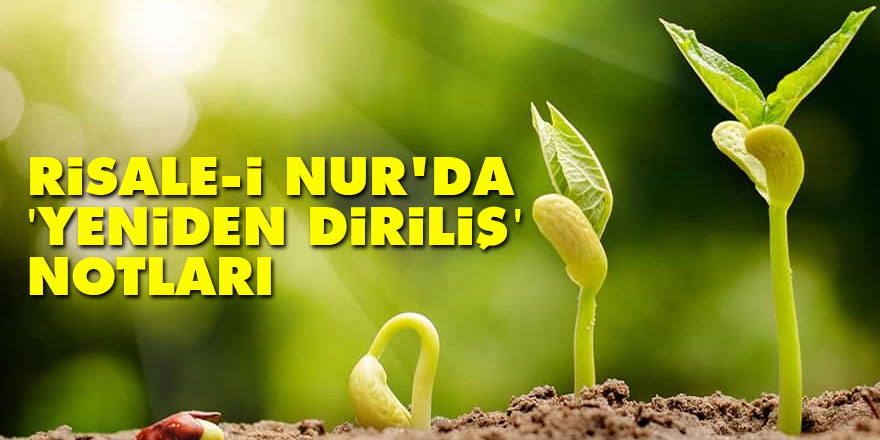 Risale-i Nur'da 'yeniden diriliş' notları