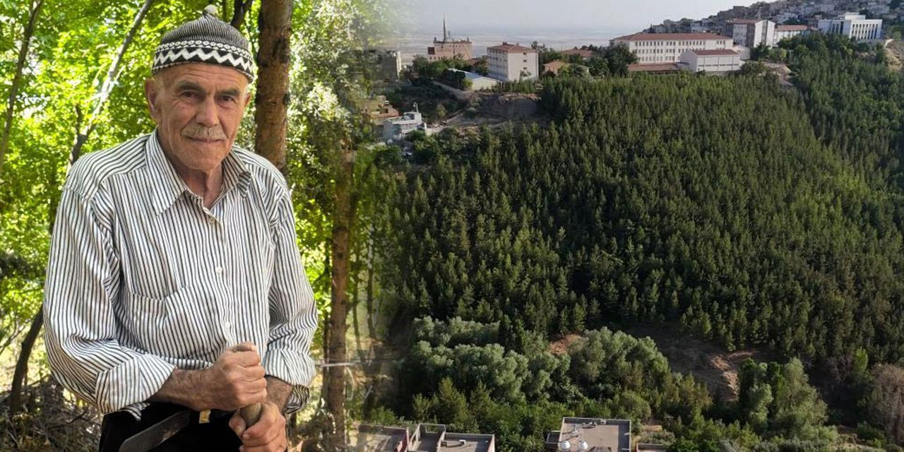 Mardinli 78 yaşındaki Şehmus amca tek başına orman kurdu: Peygamberimiz (asm) öyle dedi