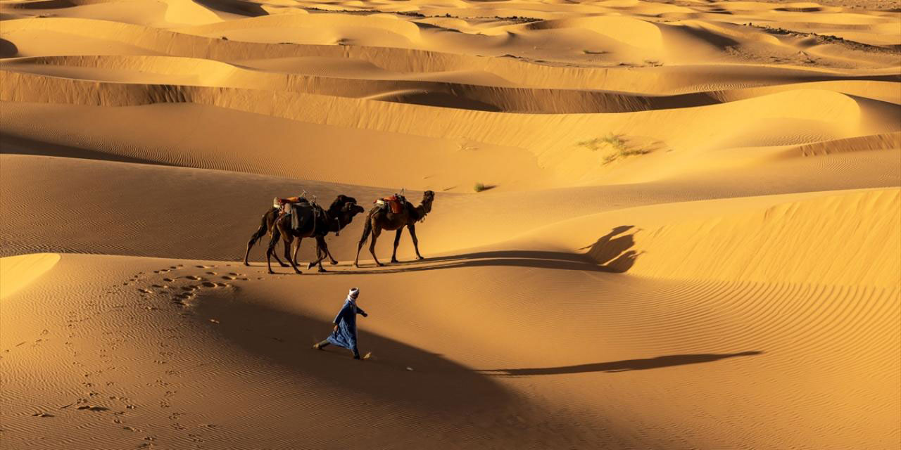 Dünyanın en büyük sıcak çölü: Büyük Sahra