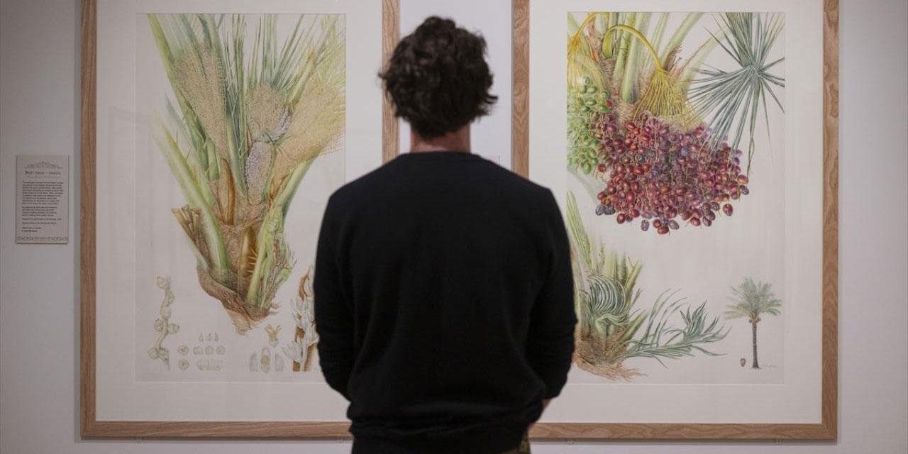 Avrupa'da 'Kur'an Bitkileri' sergisi