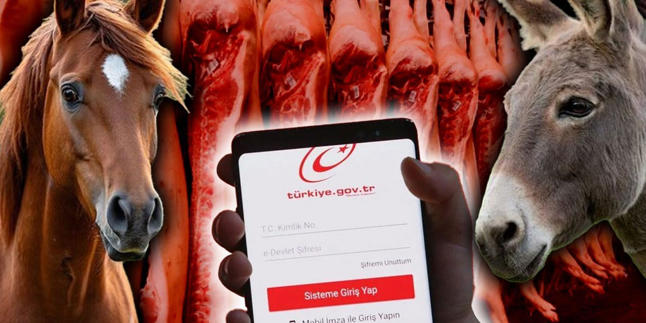 Bu listeye bakmadan dışarıda yemek yemeyin: Domuz, at ve eşek eti satanlar artık e-Devlet'te!