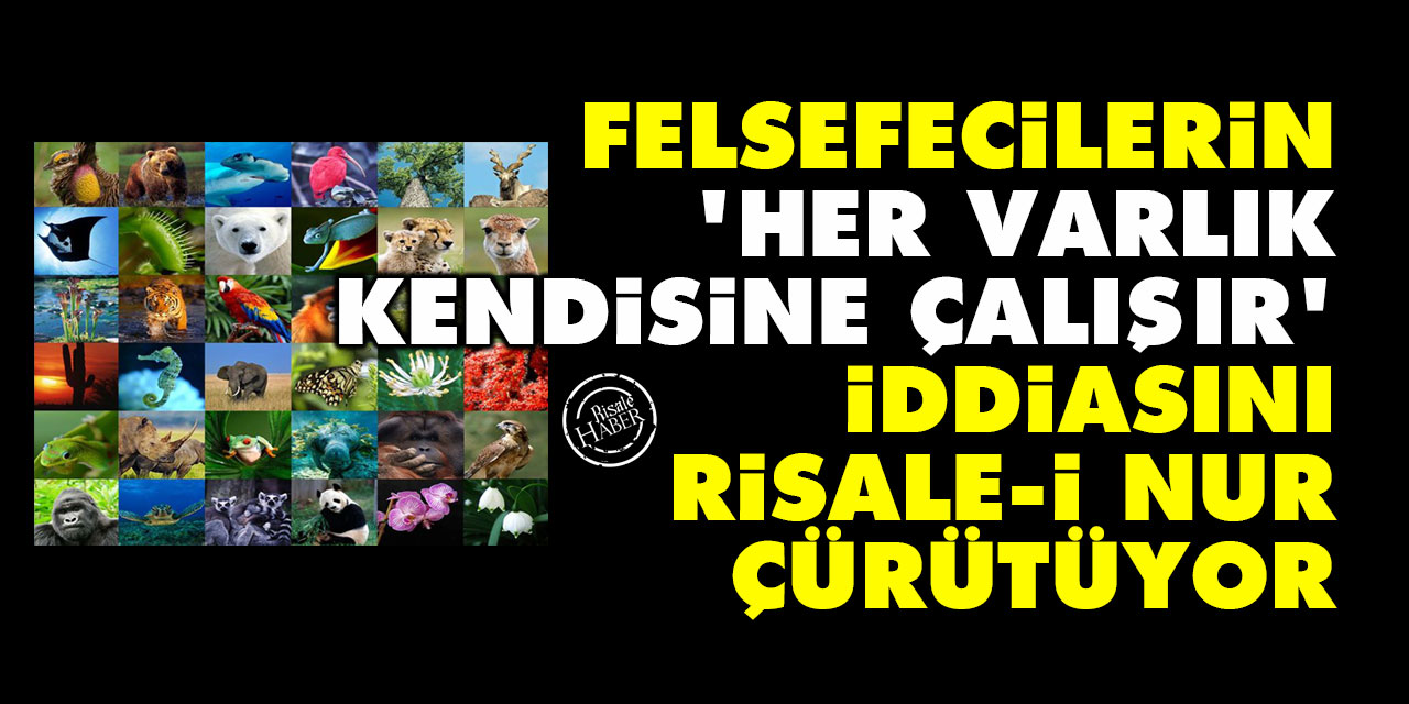 Felsefecilerin 'her varlık kendisine çalışır' iddiasını Risale-i Nur çürütüyor