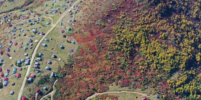 2 bin 182 rakımlı Sis Dağı'nda güz zamanı