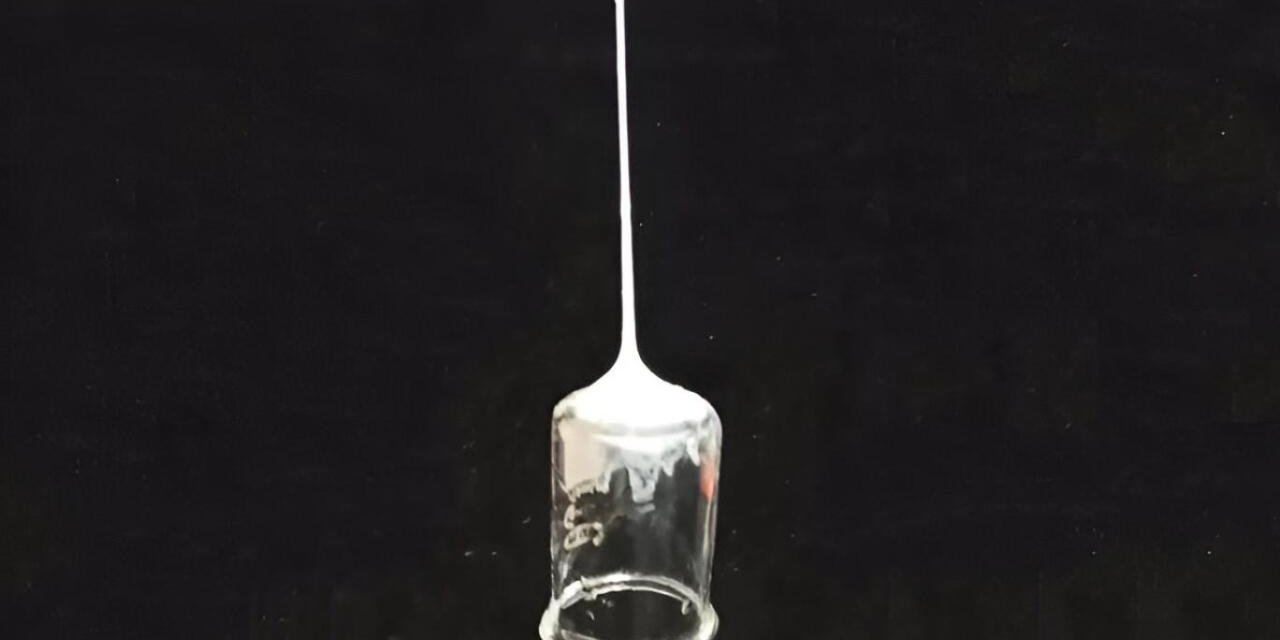 Yaratılış harikası örümcek ağı bilime ilham kaynağı oldu