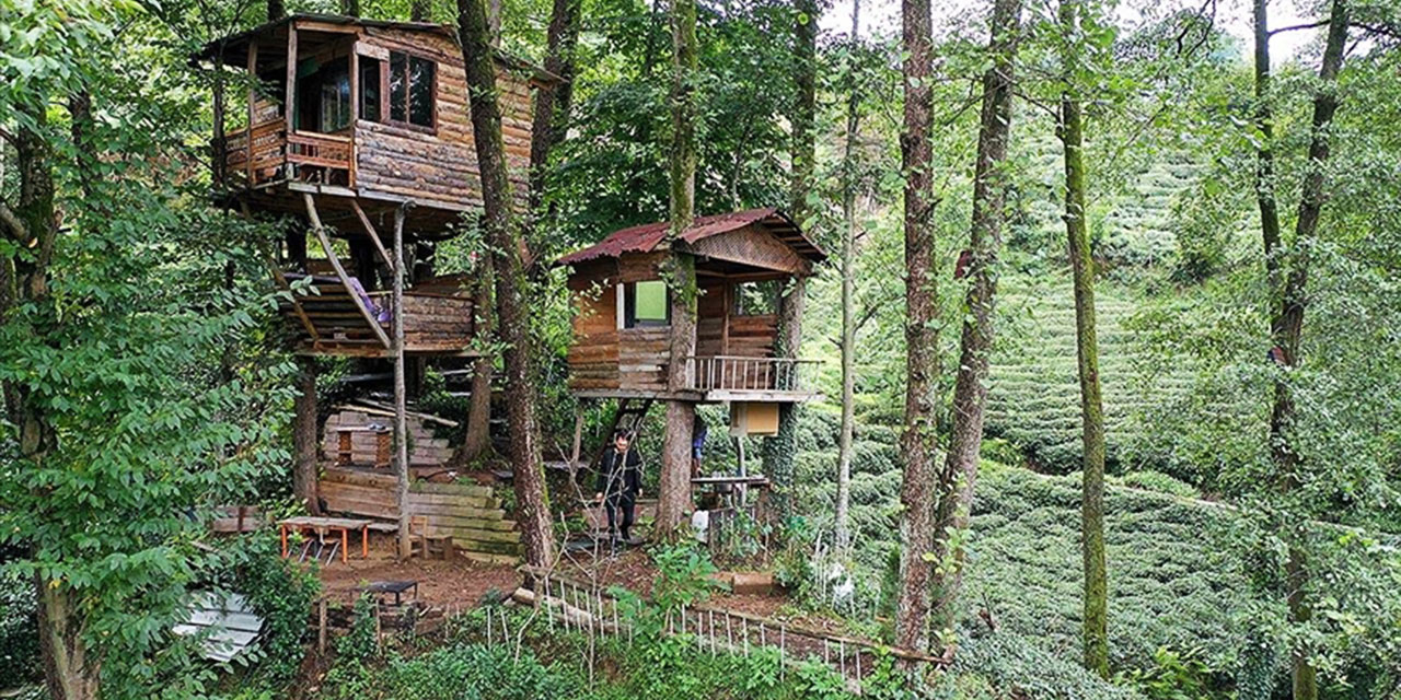 Ağaç gövdeleri arasına yaptığı iki ahşap evde yakınlarını ağırlıyor