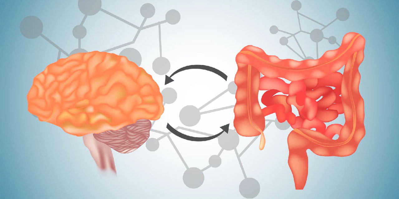 Stres, depresyon ve endişenin kaynağı bağırsaklarımızda saklı olabilir