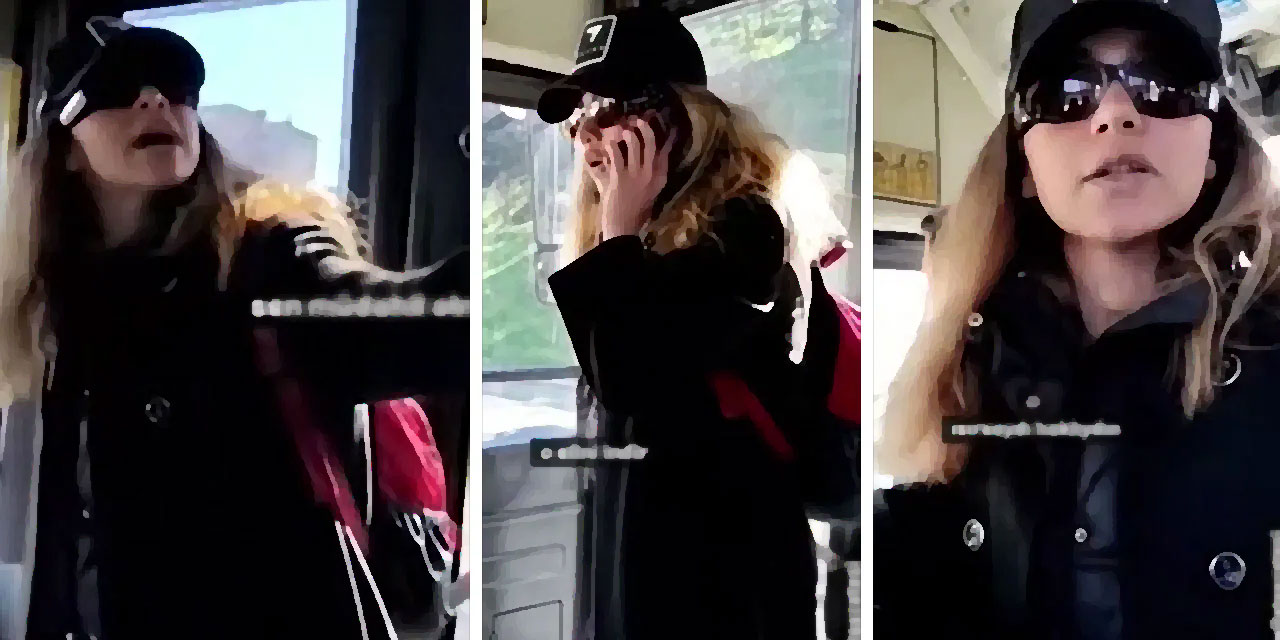 Köpeği ile belediye otobüsüne bindi, başörtülü kadına hakaret etti