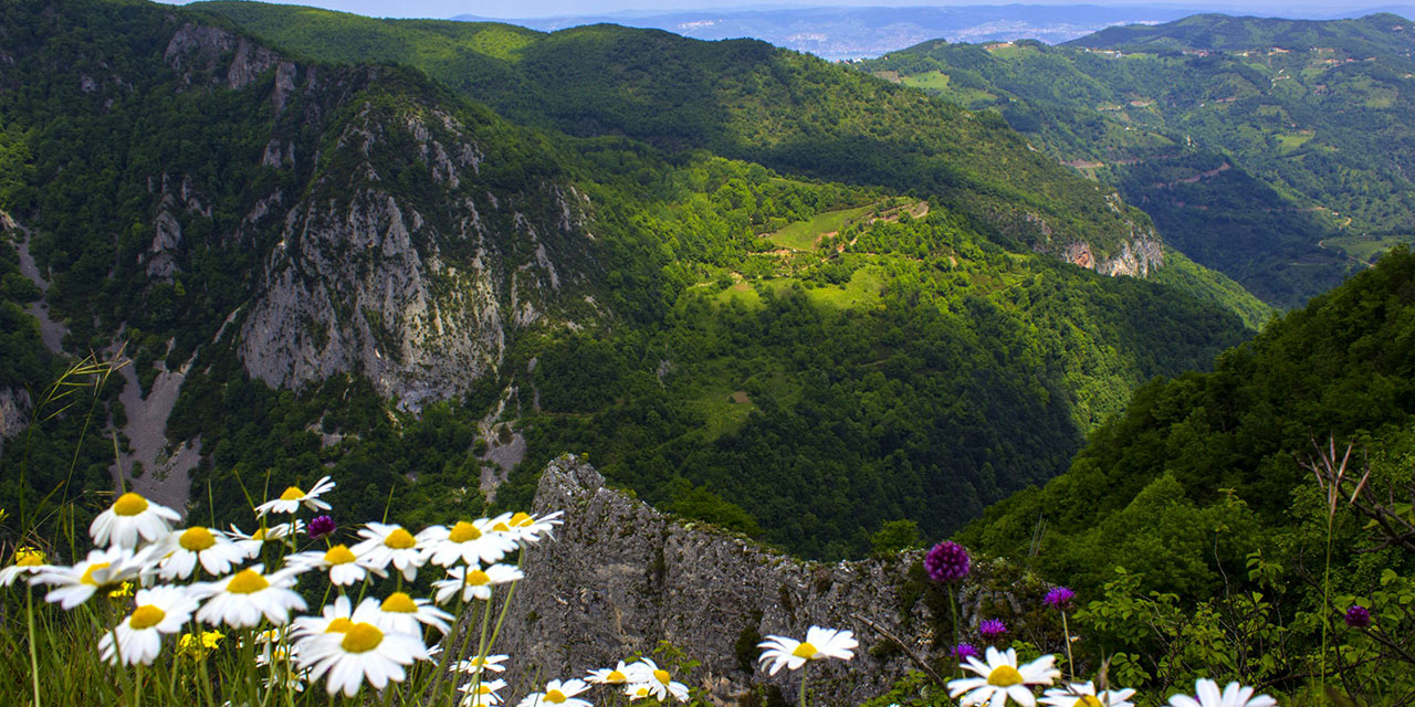 Tabiat Matbaa Değil: Gözden Kaçan Büyük Gerçek!