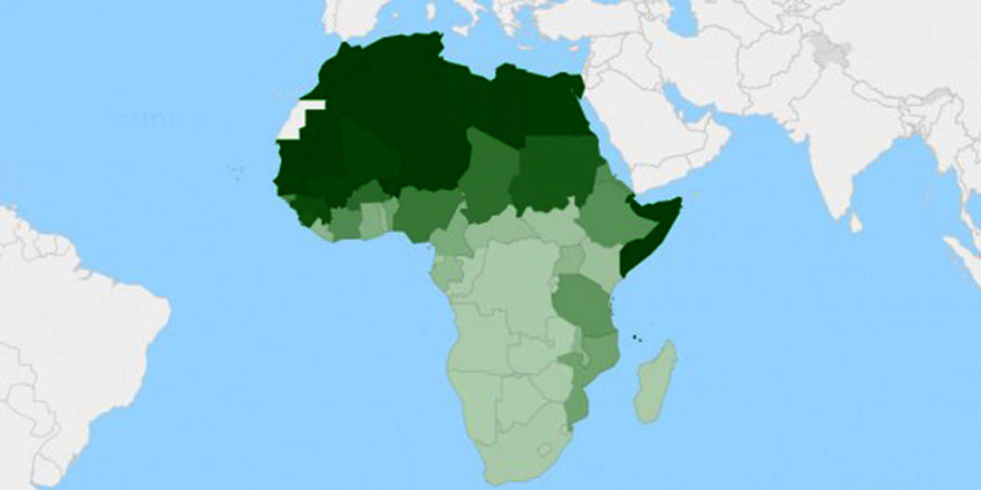 Batı Afrika'da Fransız karşıtlığı yükselirken Çin ve Rusya'ya destek artıyor