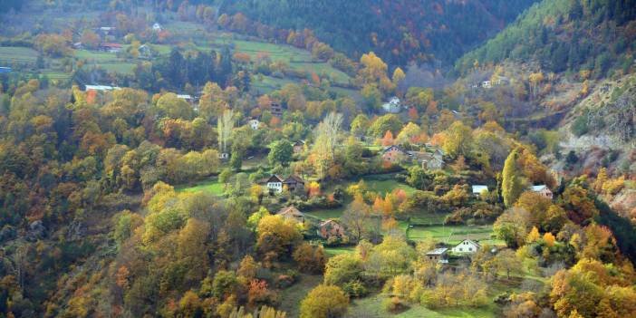 'Örümcek Ormanları'ndan sonbahar manzaraları
