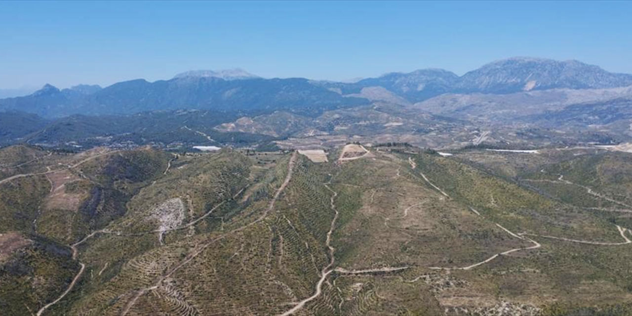 Manavgat yangınının üzerinden iki yıl geçti: 60 bin hektarlık alan ağaçlandırıldı