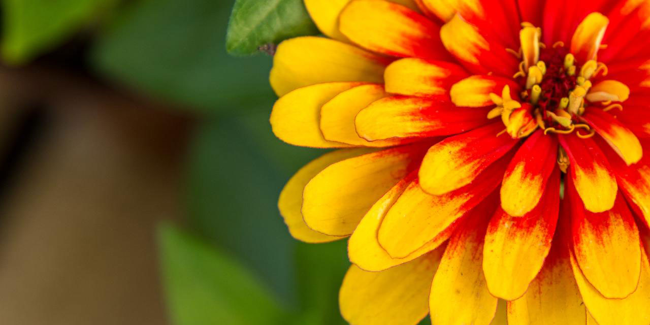 Bediüzzaman: Bu zamanda ehl-i iman öyle bir hakikate muhtaçtırlar ki