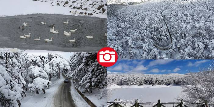 Karla kaplanan Yozgat Çamlık Milli Parkı ve Akdağmadeni ormanları