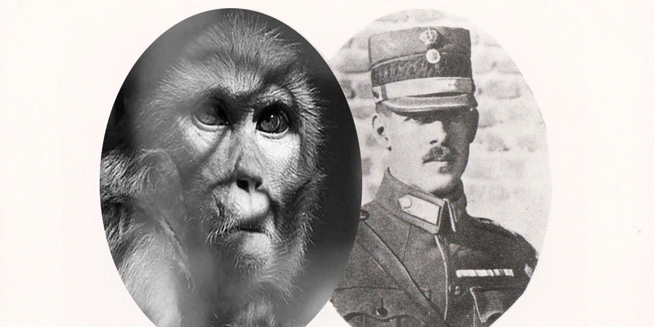 Bediüzzaman'ın duası ve kralı öldüren maymuna mersiyesi